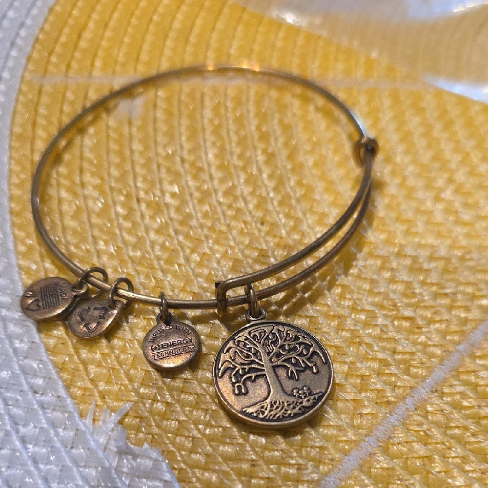 Alex and Ani Rafaelian Gold Finish Expandable Wire Bangle‎ Bracelet with Charms